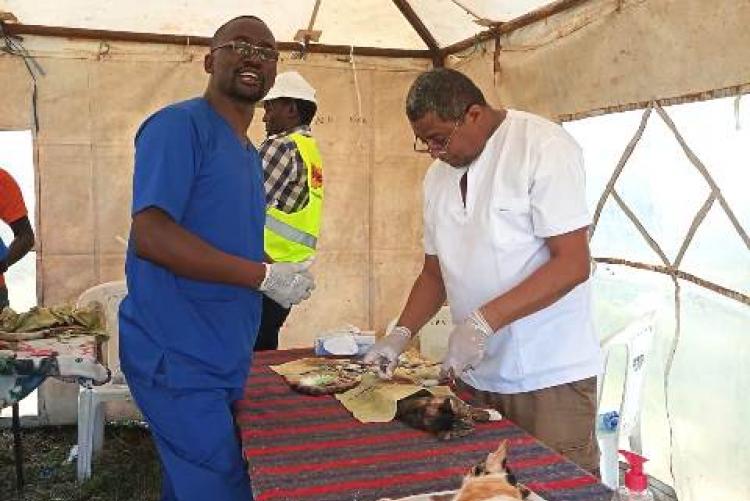 Dr. Ochwangi (left) demonstrating surgery on cats at the conference