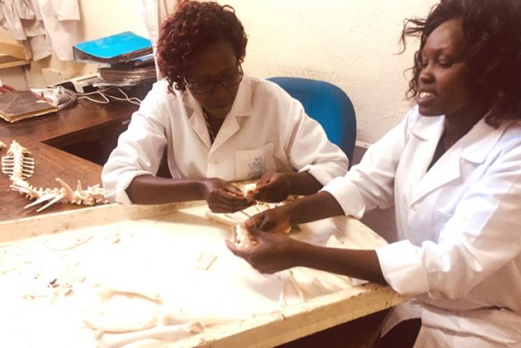 Dr. Irene & Mary sorting out bones